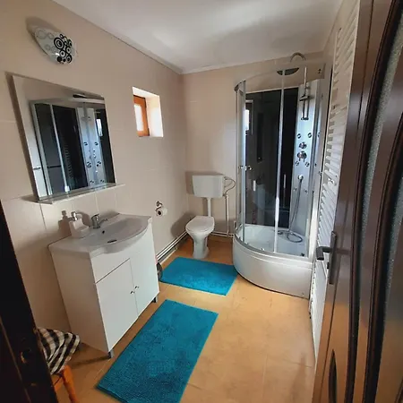 Casa De La Ferma Mariuca Villa Berbesti Room photo